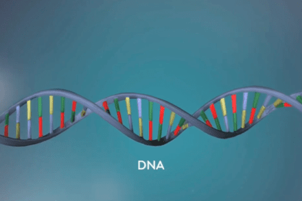 Bài 34: Từ gene đến tính trạng