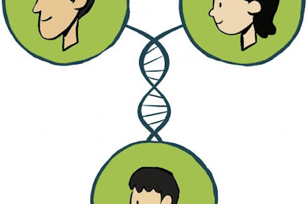 Chủ đề 11: Di truyền - Bài 33: Gen là trung tâm di truyền