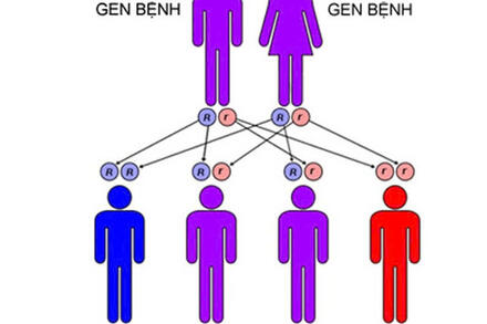 Di truyền học người và di truyền y học