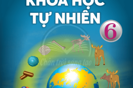 Giáo Án KHTN 6 HKII