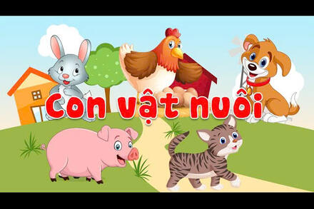 NHẬN BIẾT CON CHÓ, CON MÈO