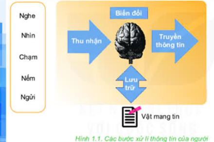 BÀI 2. XỬ LÍ THÔNG TIN