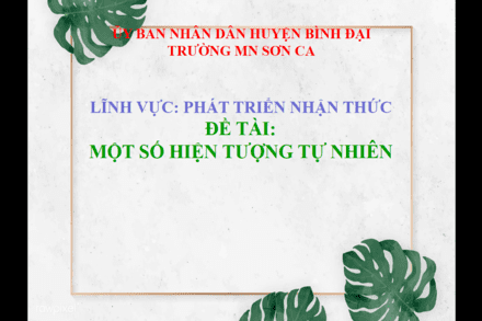 Lĩnh vực: phát triển nhận thức  Đề tài: Các hiện tượng tự nhiên   ,Lớp mầm 1  GV: Đặng Thị Yến Nhi