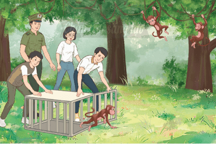 BẢO TỒN ĐỘNG VẬT, THỰC VẬT  VÀ CẢNH QUAN THIÊN NHIÊN
