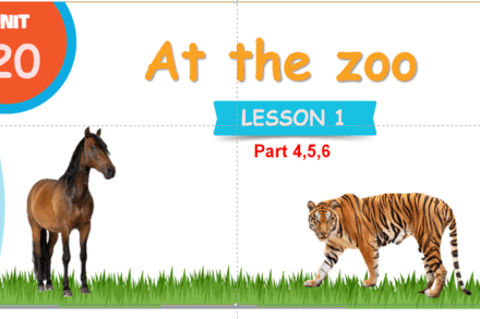 At the zoo