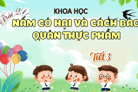 Nấm có hại và cách bảo quản thực phẩm ( tiết 3)