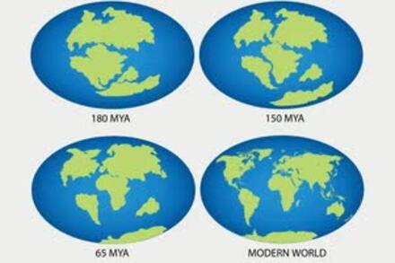 Sự trôi dạt lục địa
