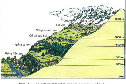 Bài 16. PHÂN TÍCH SỰ PHÂN BỐ CỦA ĐẤT VÀ SINH VẬT TRÊN TRÁI ĐẤT