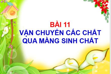 BÀI 11: VẬN CHUYỂN CÁC CHẤT QUA MÀNG SINH CHẤT