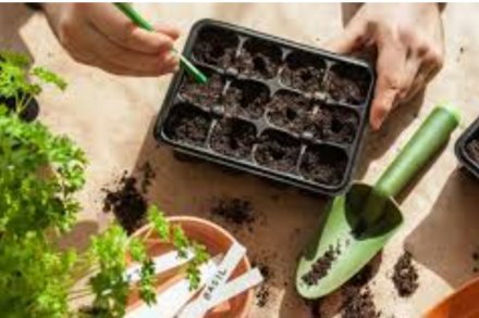 Bài 11: Phương pháp nhân giống cây trồng (video bài giảng + trắc nghiệm)