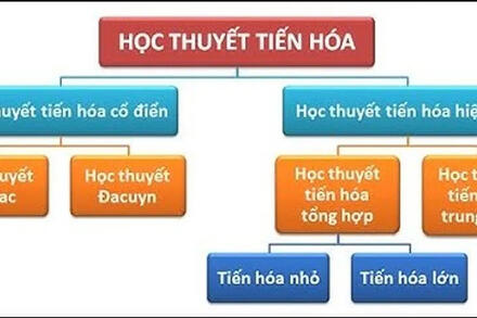 Bài 17: THUYẾT TIẾN HOÁ TỔNG HỢP HIỆN ĐẠI