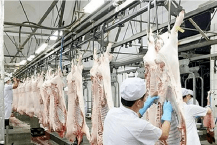Bài 21: Ứng dụng công nghệ cao trong bảo quản và chế biến sản phẩm chăn nuôi