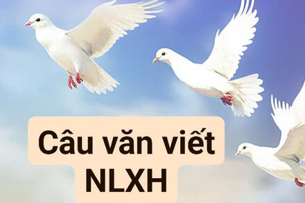 Câu văn vận dụng vào viết NLXH