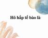 THỰC HÀNH THÍ NGHIỆM HÔ HẤP TẾ BÀO Ở THỰC VẬT