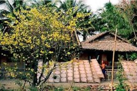 Mùa phơi sân trước