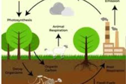 KHTN 9 - BÀI 34: NGUỒN CARBON. CHU TRÌNH CARBON VÀ SỰ ẤM LÊN TOÀN CẦU