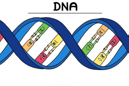 Bài 33: Gene là trung tâm của Di truyền học (Tiết 1)