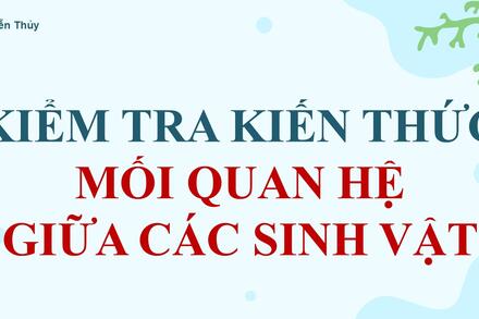 [Nguyễn Thủy] Mối quan hệ giữa các sinh vật (KT kiến thức)
