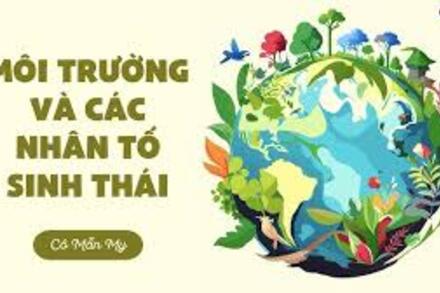 Bài 42 Quần thể sinh vật-copy2