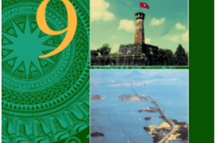 CHỦ ĐỀ 5: VIỆT NAM TRONG NHỮNG NĂM TỪ 1919 - 1930