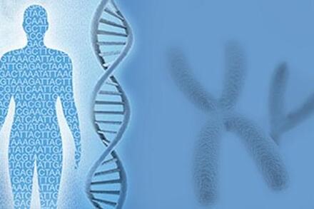 BÀI 4  HỆ GENE ĐỘT BIẾN GENE VÀ CÔNG NGHỆ GENE