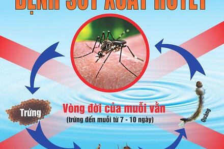 Truyền thông y tế