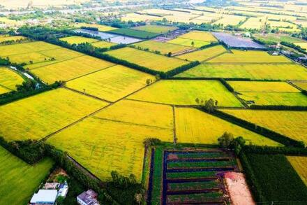 BAI 41 VÙNG ĐỒNG BẰNG SÔNG CỬU LONG