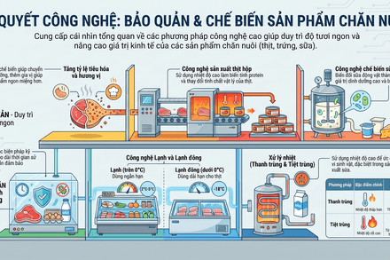 Bảo quản và chế biến sản phẩm chăn nuôi
