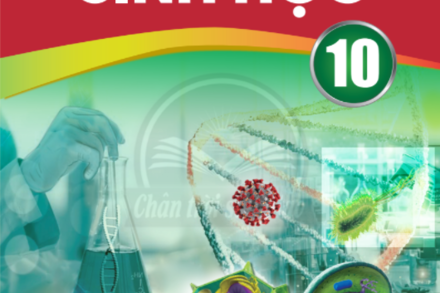 Chương II: CẤU TRÚC TẾ BÀO-BÀI 9-10-ÔN TẬP CHƯƠNG