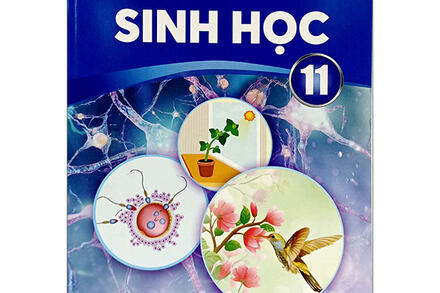 BÀI 10 - SINH HỌC 11 CTST - TUẦN HOÀN Ở ĐỘNG VẬT