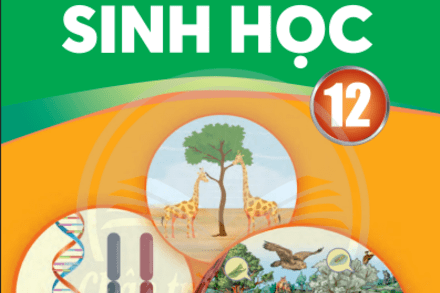 ÔN TẬP THI ĐÁNH GIÁ NĂNG LỰC THÁNG 12