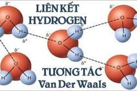 Liên kết Hydrogen và tương tác Van der Waals