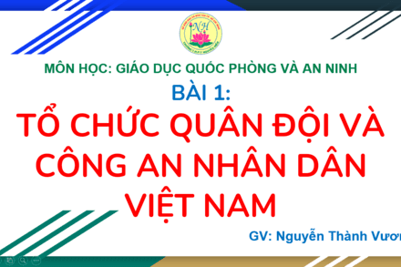 Tổ chức Quân đội và Công an nhân dân Việt Nam