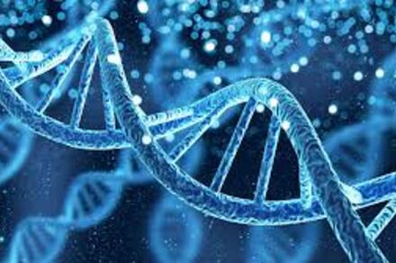 [si12CD video] Biểu hiện thông tin di truyền