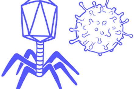 [Si10 Video tương tác]: Chuyên đề Virus