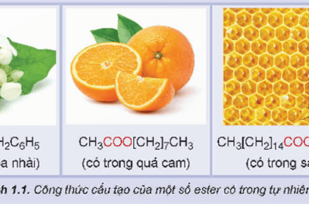 Sơ đồ tư duy bài ester