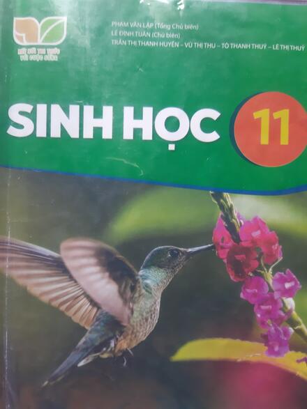 Khái quát về sinh sản ở sinh vật