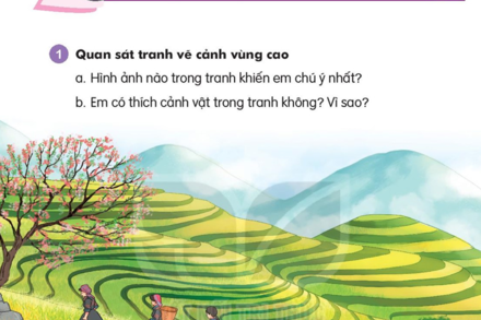 Bài 4: Ruộng bậc thang ở Sa Pa