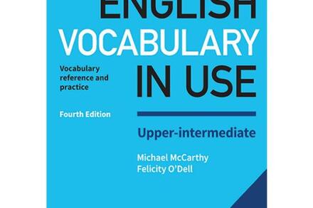 English vocabulary in use