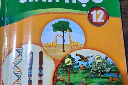 SINH 12 . BÀI 25 HỆ SINH THÁI