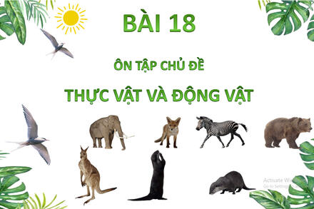 TNXH TUẦN 23 TIẾT 2