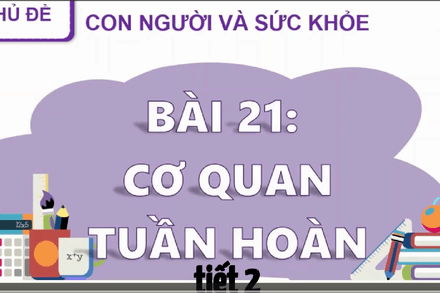 Bài 25 T1_Bài 21 Cơ quan tuần hoàn trang 90, 91, 92, 93, 94, 95 (tiết 2)