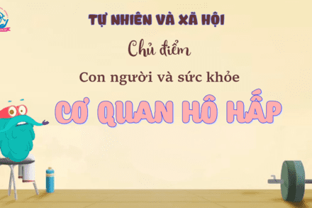 TNXH - BÀI CƠ QUAN HÔ HẤP