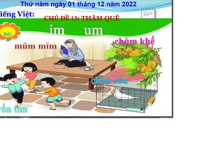 Bài IM, UM