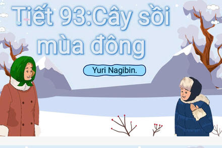 CÂY SỒI MÙA ĐÔNG