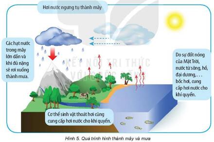 BÀI 13 THỜI TIẾT VÀ KHÍ HẬU, CÁC ĐỚI KHÍ HẬU TRÊN TRÁI ĐẤT