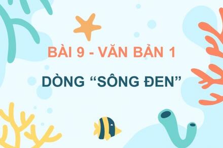 Bài 9