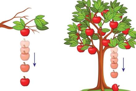 KHTN 6 - BÀI 37 - LỰC HẤP DẪN VÀ TRỌNG LƯỢNG