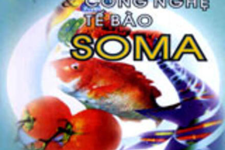 Di Truyền & Công Nghệ Tế Bào Soma