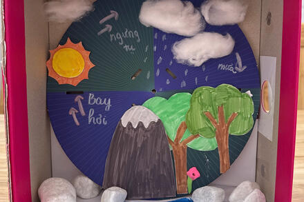 Vòng tuần hoàn của nước